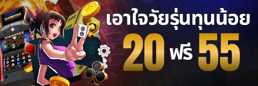 ทุนน้อย-WY789
